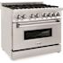 ZLINE Kitchen and Bath 36 in. 6 Burner Dual Fuel Range with Brass Burners in Stainless Steel