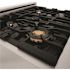 30 in. Legacy Dual Fuel Range with Gas Cooktop and Electric Oven in Satin Stainless Steel with 4 Brass Burners