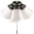 Hampton Bay Williamson 3 Light Matte Black Universal LED Ceiling Fan Shades Light Kit