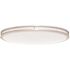 PRIVATE BRAND UNBRANDED 32 in. Oval Brushed Nickel Integrated LED Ceiling Flush Mount