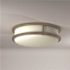 PRIVATE BRAND UNBRANDED 12 in. Brushed Nickel Selectable LED CCT Round Flush Mount Light