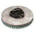 TENNANT 16 in. Pad Driver for T600/T600E Disk (2 Required)