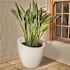 Mayne Modesto 20 in. Round White Polyethylene Planter