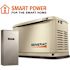 14,000 Watt - Dual Fuel Air- Cooled Whole House Home Standby Generator, Smart Home Monitoring, 100-AMP Transfer Switch