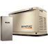 14,000 Watt - Dual Fuel Air- Cooled Whole House Home Standby Generator, Smart Home Monitoring, 100-AMP Transfer Switch