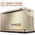 Generac 14,000 Watt - Dual Fuel Air- Cooled Whole House Home Standby Generator, Smart Home Monitoring