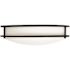 EnviroLite EnviroLite 10 in. Modern Matte Black Selectable CCT Integrated LED Flush Mount for Kitchens