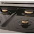 24 in. Legacy Dual Fuel Range with Gas Cooktop and Electric Oven in Satin Stainless Steel with 4 Brass Burners