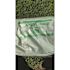 0.85 mil 39 in. x 55 in. 48 Gal. Compostable Can Liners (80 per case)
