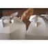 Southern Champion Tray 5 lb. White Carry Out Barn Box w/Handle 8-7/8 x 5 x 3-1/2" (250 per case)
