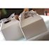 Southern Champion Tray 5 lb. White Carry Out Barn Box w/Handle 8-7/8 x 5 x 3-1/2" (250 per case)