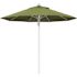 9 ft. Silver Aluminum Commercial Fiberglass Ribs Market Patio Umbrella and Pulley Lift in Spectrum Cilantro Sunbrella