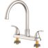 Seasons Raleigh Double-Handle Gooseneck Kitchen Faucet in Stainless Steel