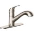 Seasons Raleigh Single-Handle Pull Out Sprayer Kitchen Faucet in Stainless Steel