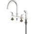 Seasons Raleigh Double-Handle Gooseneck Kitchen Faucet with Side Sprayer in Chrome