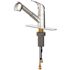 Seasons Raleigh Single-Handle Pull-Out Sprayer Kitchen Faucet in Chrome
