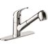 Seasons Raleigh Single-Handle Pull-Out Sprayer Kitchen Faucet in Chrome