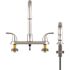 Seasons Raleigh Double-Handle Gooseneck Kitchen Faucet with Side Sprayer in Stainless Steel
