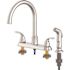 Seasons Raleigh Double-Handle Gooseneck Kitchen Faucet with Side Sprayer in Stainless Steel