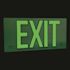 LumAware Green Poly-Metal 50 ft. Visibility 1.3 fc Rated Energy-Free Photoluminescent UL924 Emergency Exit Sign