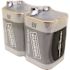 MAINTENANCE WAREHOUSE 6-Volt Alkaline Battery (2-Pack)