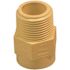 Genova Products 3/4 in. FlowGuard Gold CPVC Male Adapter