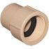 Genova Products 3/4 in. Flowguard Gold CPVC Female Adapter
