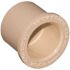 Genova Products 3/4 in. x 1/2 in. Flowguard Gold CPVC Reducing Bushing