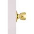 Tulip Dummy Door Knob Bright Brass