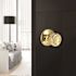 Tulip Dummy Door Knob Bright Brass