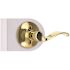 Wave Dummy Door Lever Right Handed Bright Brass