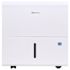 Seasons 22 Pint Portable Dehumidifier