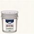PPG Architectural Finishes Speedhide Flat Interior Paint, Delicate White