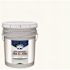 PPG Architectural Finishes Speedhide Eggshell Interior Paint, Delicate White