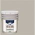 PPG Architectural Finishes Speedhide Eggshell Interior Paint, Gray Stone