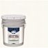 PPG Architectural Finishes Speedhide Semi-Gloss Interior Paint, Delicate White