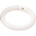 GENERIC Fluorescent Bulb, 20 Watt, T9 Circline, 3,000k