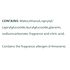 Clorox CloroxPro Clorox EcoClean Glass Cleaner Spray Bottle, 32 Fluid Ounces (60277)