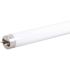 Halco 4' 14-Watt T8 Non-Dimmable Type B LED Linear Bulb Cool White Case Of 10