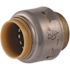 Sharkbite Max Coupling 1/2" -Polybutylene