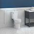 SEASONS 2-Piece All-In-One 0.8 GPF Ultra-High Efficiency Single Flush ADA Round Toilet In White