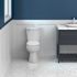 SEASONS 2-Piece All-In-One 0.8 GPF Ultra-High Efficiency Single Flush ADA Round Toilet In White