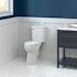 SEASONS 2-Piece All-In-One 0.8 GPF Ultra-High Efficiency Single Flush ADA Round Toilet In White