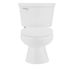 SEASONS 2-Piece All-In-One 0.8 GPF Ultra-High Efficiency Single Flush ADA Elongated Toilet In White