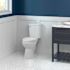 SEASONS 2-Piece All-In-One 0.8 GPF Ultra-High Efficiency Single Flush ADA Elongated Toilet In White