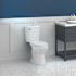 SEASONS 2-Piece All-In-One 0.8 GPF Ultra-High Efficiency Single Flush ADA Elongated Toilet In White