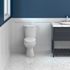 SEASONS 2-Piece All-In-One 0.8 GPF Ultra-High Efficiency Single Flush ADA Elongated Toilet In White