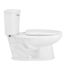 SEASONS 2-Piece All-In-One 0.8 GPF Ultra-High Efficiency Single Flush ADA Elongated Toilet In White