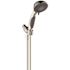 SEASONS 5-Spray 1.75 GPM Handheld Showerhead Brushed NICKEL
