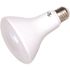 MAINTENANCE WAREHOUSE 11 Watt Br30 Led, Medium, Frosted, 5000k, Package Of 12